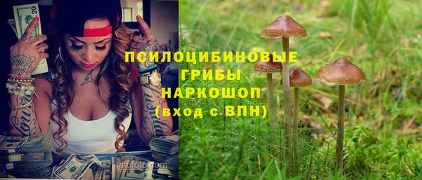 ГАЛЛЮЦИНОГЕННЫЕ ГРИБЫ Дмитров