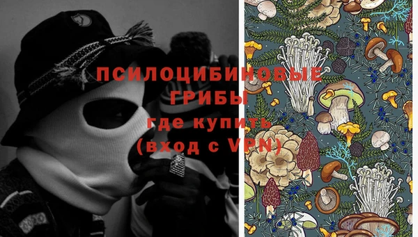 первитин Усинск